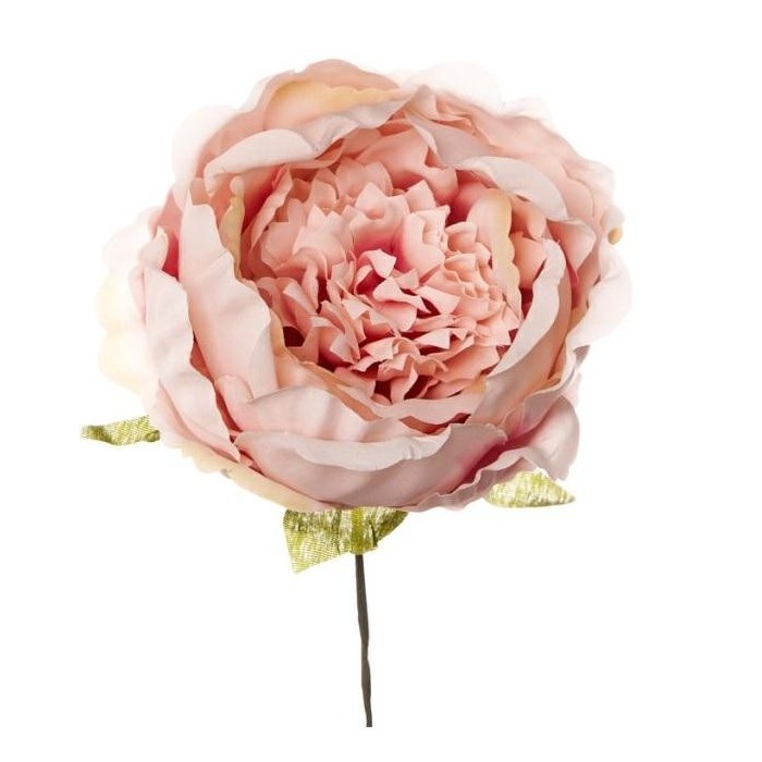 PICK PEONIA D 7 CM PINK